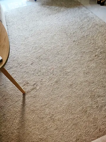 Ikea rug 200x300 great condition