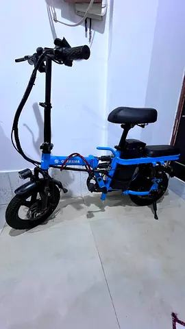Electric Bike with Rear Seat and Lights