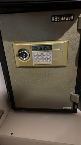 Safe well electronic safe for sale