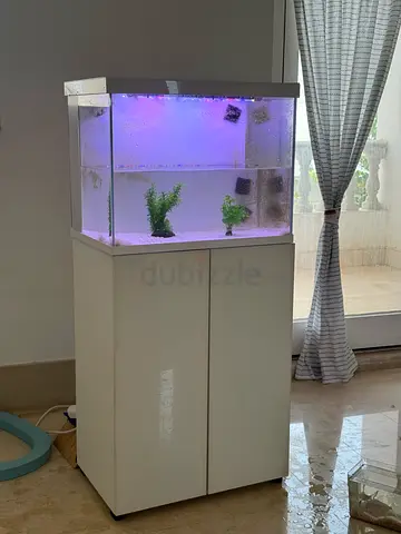 Aquarium with Cabinet, LED Lighting and Basic Filtration - Good Condition