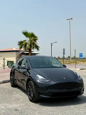 2025 Tesla MODEL Y — фото 3