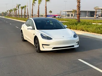 2023 Tesla MODEL 3 — фото 4