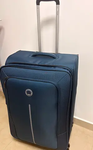 Delsey Paris Initial Luggage