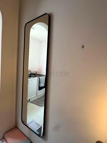 Modern Slim Black Framed Wall Mirror