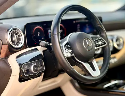 2019 Mercedes-BENZ A-CLASS 缩略图 13