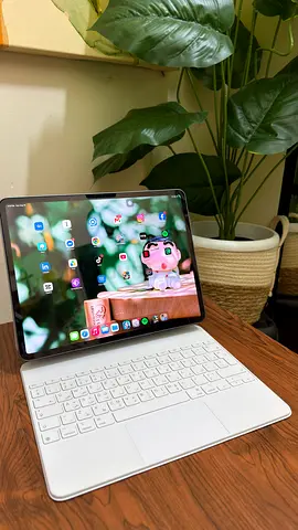 Ipad Air 13" M4 256GB with Magic keyboard TDRA