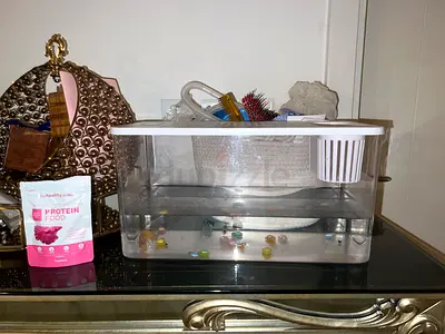 Small desktop aquarium with lid and some betta food also the betta is for adoption with tank.