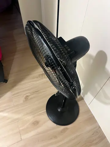 Fan and remote