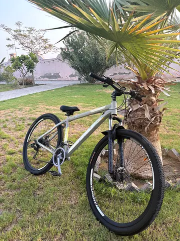 Lightweight-mountain bike hard tail