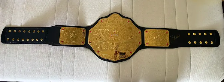 Official WWE World Heavyweight Championship Replica Belt + Case - signed by Sting.