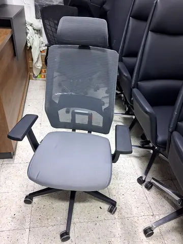 Ergonomic Mesh Office Chair with Cushioned Seat and Headrest