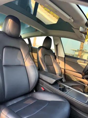 2023 Tesla MODEL 3 — фото 10