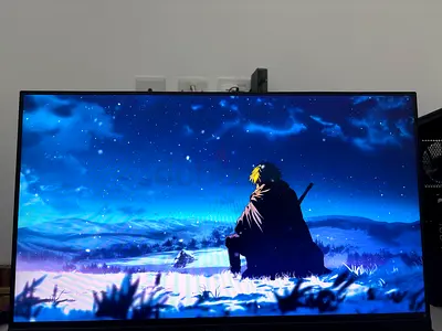 Monitor 165hz ips