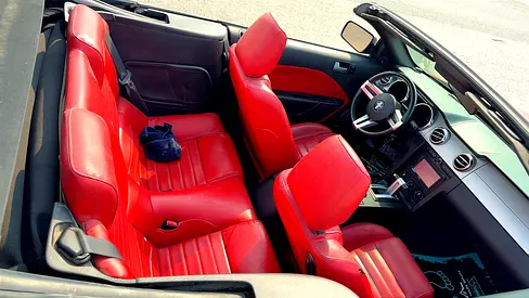 صورة 7 لـ 2009 FORD MUSTANG