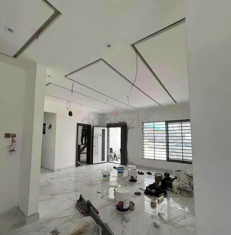 DPV_View_Image_2