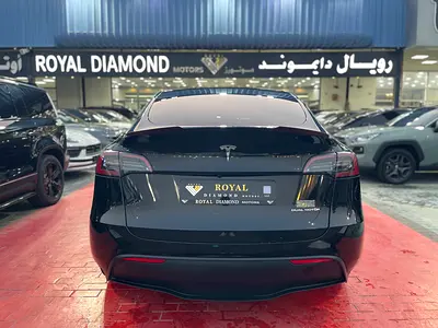 2024 Tesla MODEL Y 照片 5