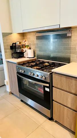 Gas stove