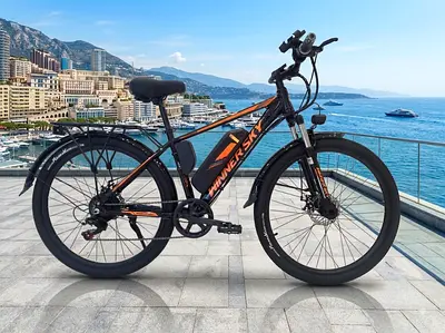 Electric bicycle