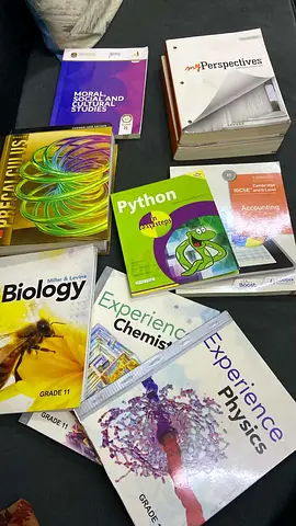 Savvas books sylabus grade 11