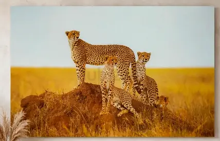 Photo frame pixsal glass