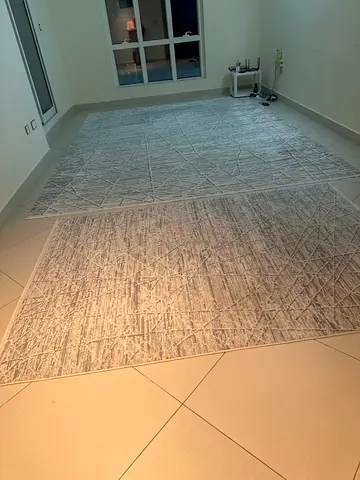 Large light grey modern area rug — good condition