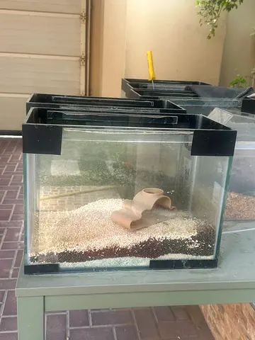 Three small glass aquariums (tanks) with lids - good condition