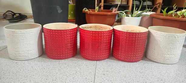Ceramic plant pots for sale