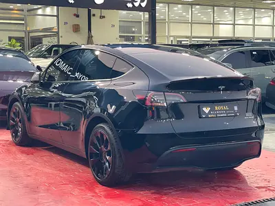 2024 Tesla MODEL Y 照片 6