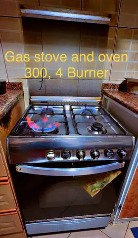 Used 4-Burner Gas Stove with Oven - 300