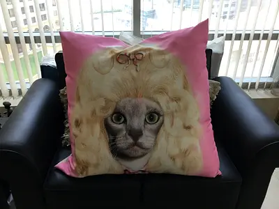 Pets Rock Country Cushion (80x80 cm)