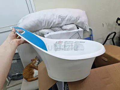 Baby bath