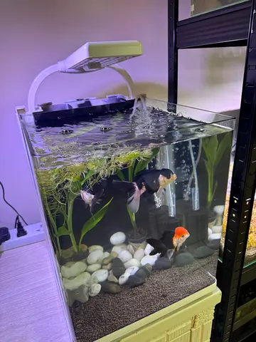 Aquarium cube
