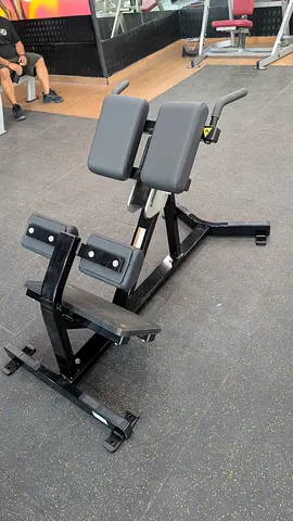 Back Extension