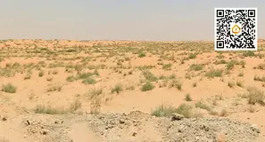 Prime Industrial Land | 10,000 sq ft | Excellent Location | Argoub Industrial Al Hamriyah