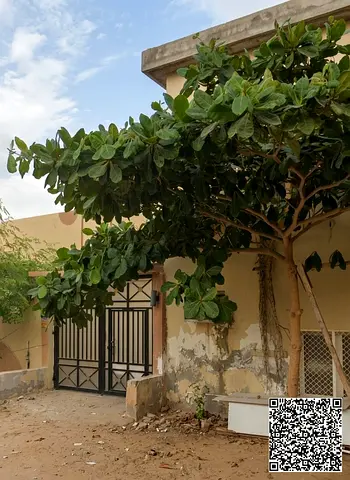 House for Sale in Al Liwara 1 Ajman Plot 1800 Sq Ft 3 Bedrooms Spacious Living Room 4 Bathrooms Sui