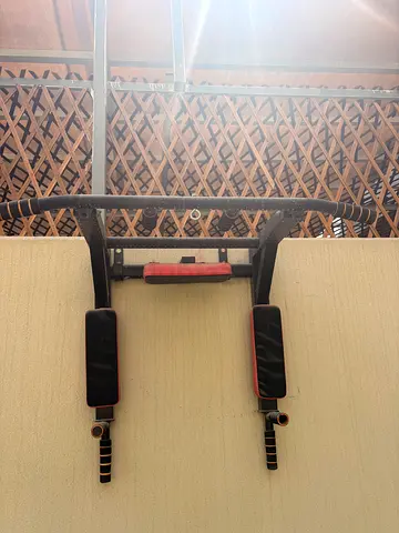 Wall-mounted Pull-up and Dip Station with Padding