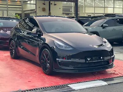 2024 Tesla MODEL Y 照片 3