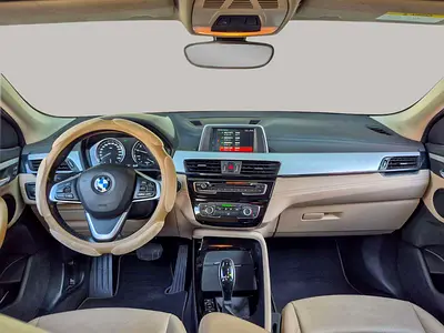 2020 BMW X2 照片 9