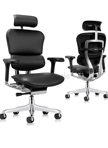 Ergohuman office chair