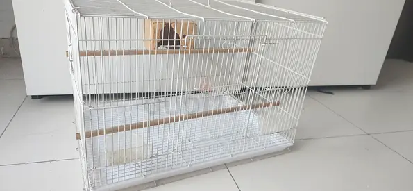 Bird cage