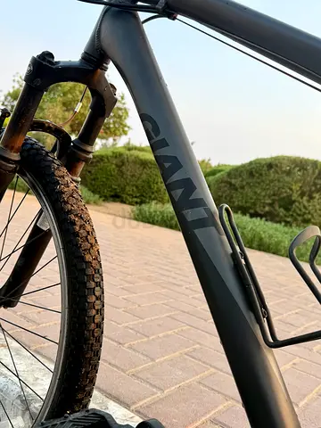 Giant mountain bike - sturdy frame, front suspension