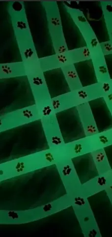 Glow in the Dark Pet Safety Collar with Paw Prints