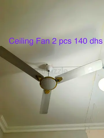 Set of 2 White Ceiling Fans with Gold Accents