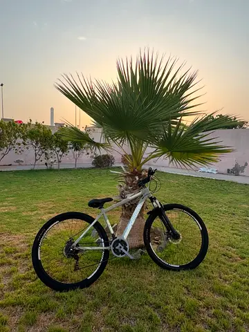 Mountain Bikes for Sale