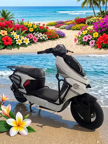 Large electric bike