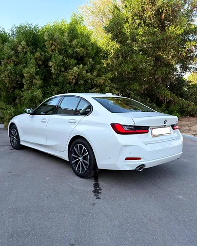 BMW 3 Series 318i, миниатюра 8