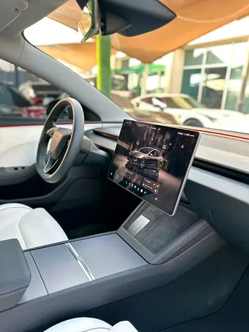 2025 Tesla MODEL 3 缩略图 12
