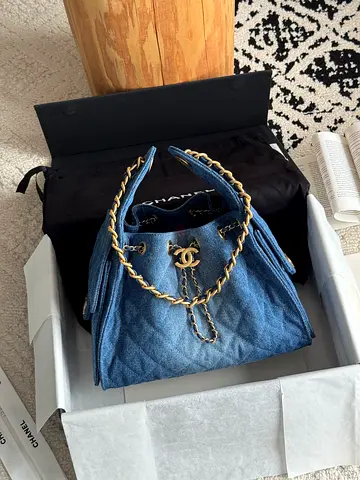 Chanel HOBO 25