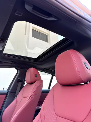 BMW 3 Series 318i, миниатюра 20