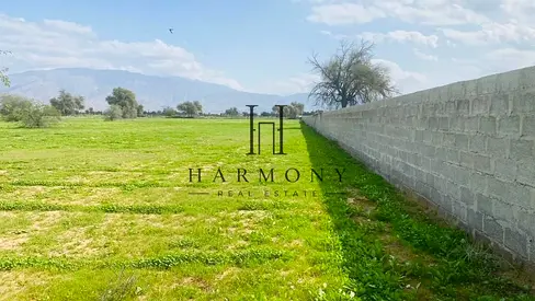 Ideal Commercial Plot l Green Fertile Soil l Has Water l Has Electricity l Great Location l Planting l Vegetation l Animals l